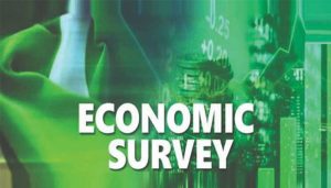 Economic Survey 2024-25: Pakistan falls short of growth goals but demonstrates fiscal progress