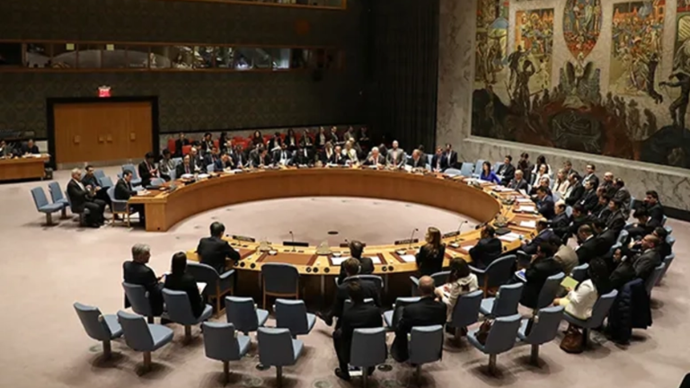 Pakistan showcases full support to Iran at UN Security Council