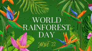 Pakistan observes World Rainforest Day today