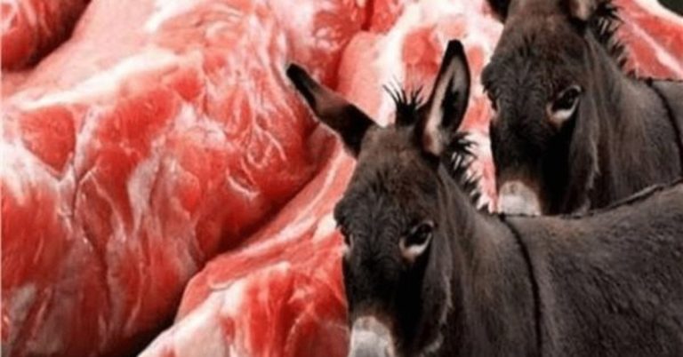 Experts share tips to instantly identify donkey meat
