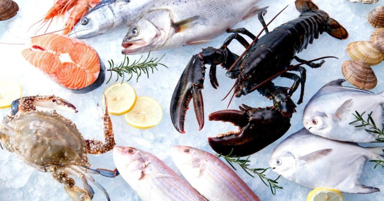 Pakistan's seafood export sector thrives with 20.5% growth hike