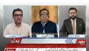 PML-N's Kausar Kazmi slams PTI, highlights mafia involvement in cooking oil import