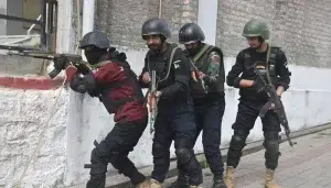Hangu DPO attack