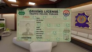 Punjab sets record with nearly 30,000 driving licenses issued in a single day