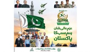 Independence Day Ad blunder: Information Ministry omits Jinnah's picture