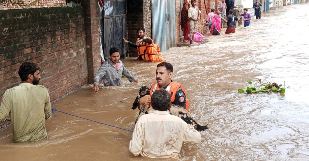 9 dead, dozens rescued as boat capsizes in South Punjab floods