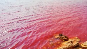 Balochistan pink water