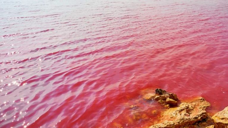 Balochistan pink water
