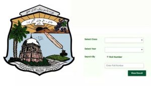 BISE Multan class 9 result 2025: Here's how to check your results online