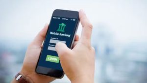 KP unveils online traffic challan payment system