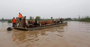 flood in Sutlej