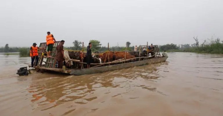 flood in Sutlej