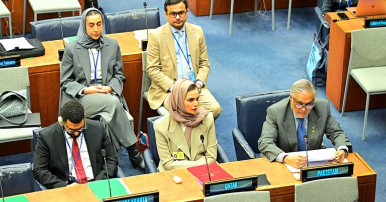 Ishaq Dar at OIC