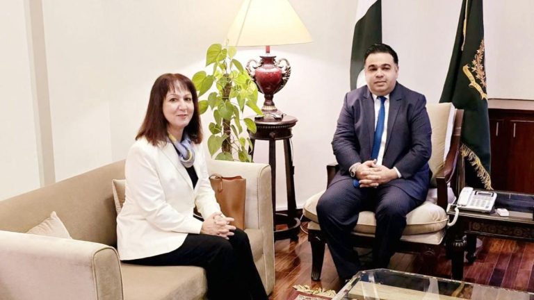 Greece envoy meets Pakistan's digital media Minister to discuss combating fake news