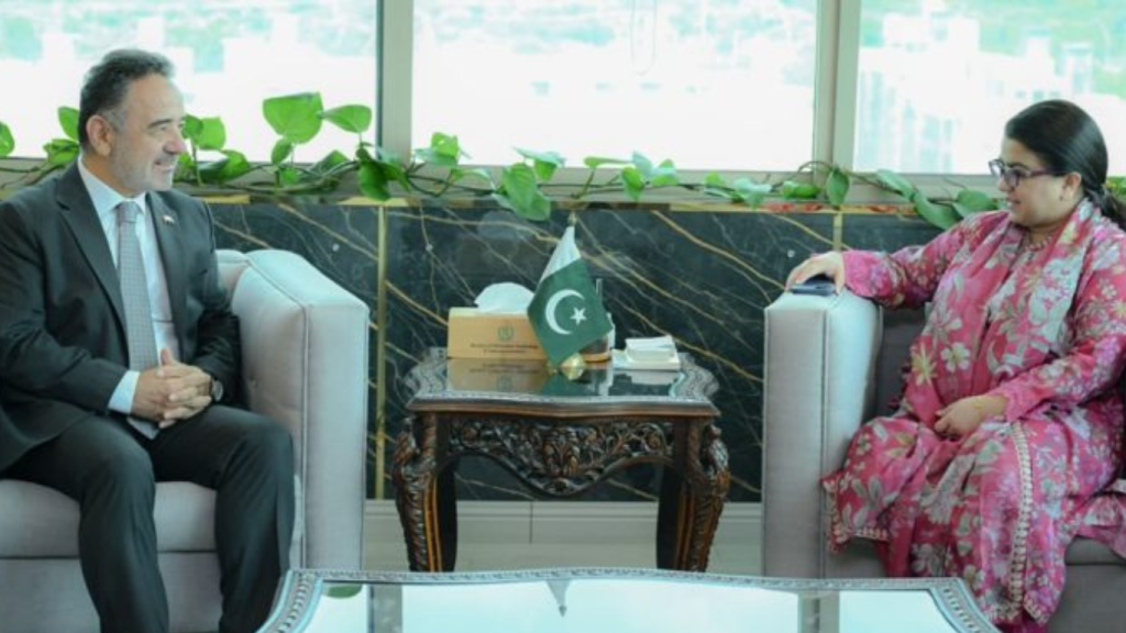 Pakistan partners with Turkiye to boost digital transformation