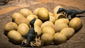 Paleontologist discover 70 million years old Dinosaur egg