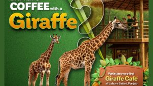 Lahore to get first ever Giraffe café