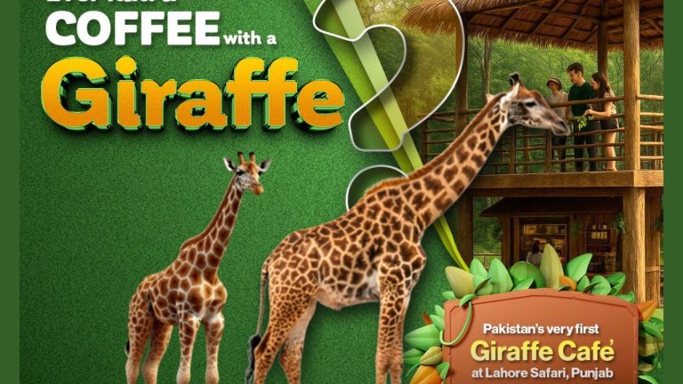 Lahore to get first ever Giraffe café