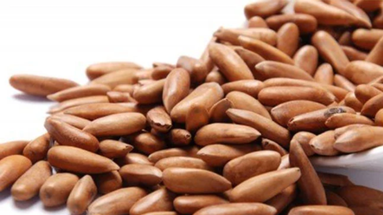 Thieves steal pine nuts worth Rs. 3.85 million