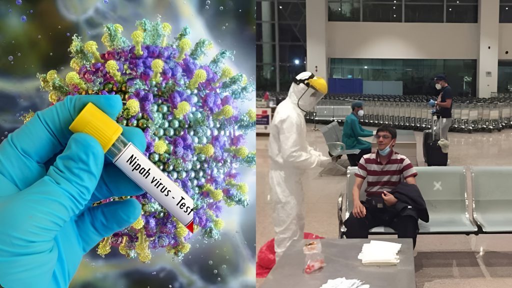 What is Nipah Virus? How you can save yourself from this deadly disease