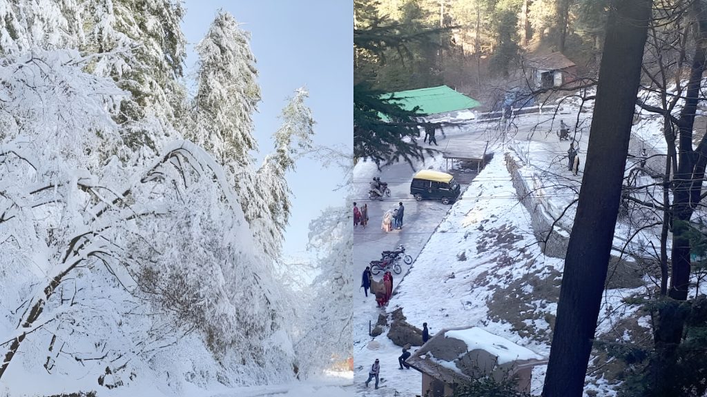 Pakistan severe winter relief