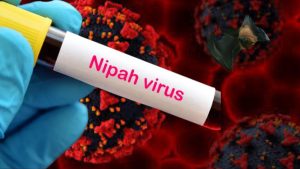 Bangladesh Nipah virus death