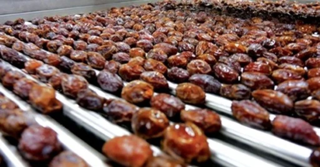 Govt plans advanced dates processing plant in Khairpur