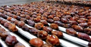Govt plans advanced dates processing plant in Khairpur