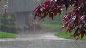 Heatwave grips Pakistan as rain chances remain limited