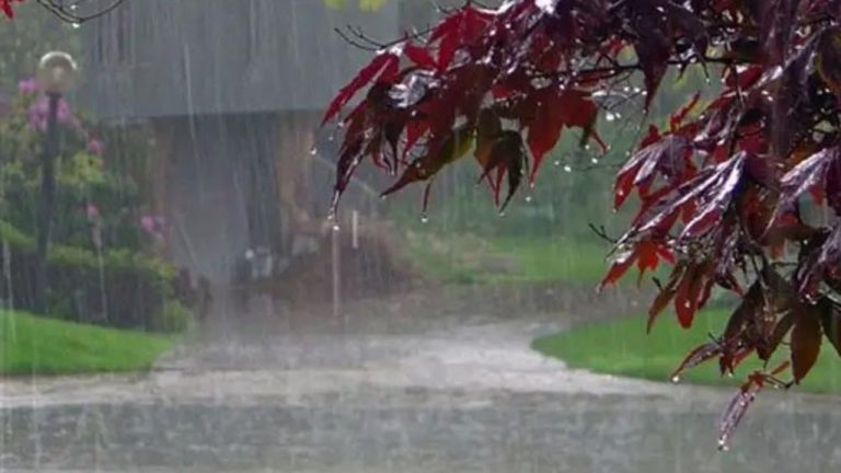 Heatwave grips Pakistan as rain chances remain limited