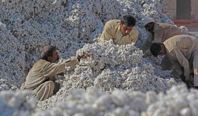 Cotton