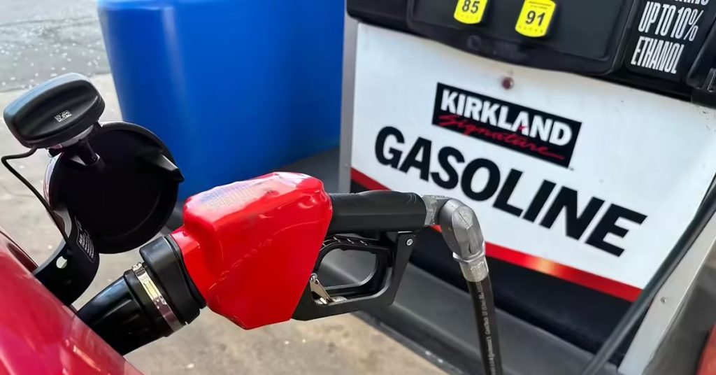 Russia announces global petrol supply suspension from April 1