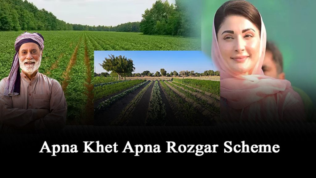 Apna Khet Apna Rozgar Scheme: Portal open apply now