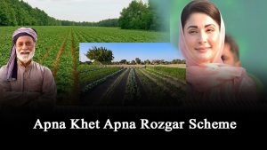 Apna Khet Apna Rozgar Scheme: Portal open apply now