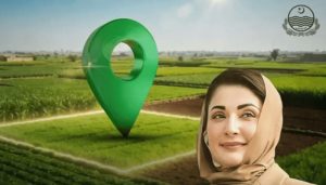 Punjab launches “Apna Khet Apna Rozgar” scheme for farmers
