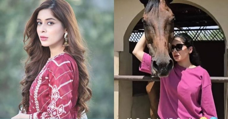 Azekah Daniel horse bond