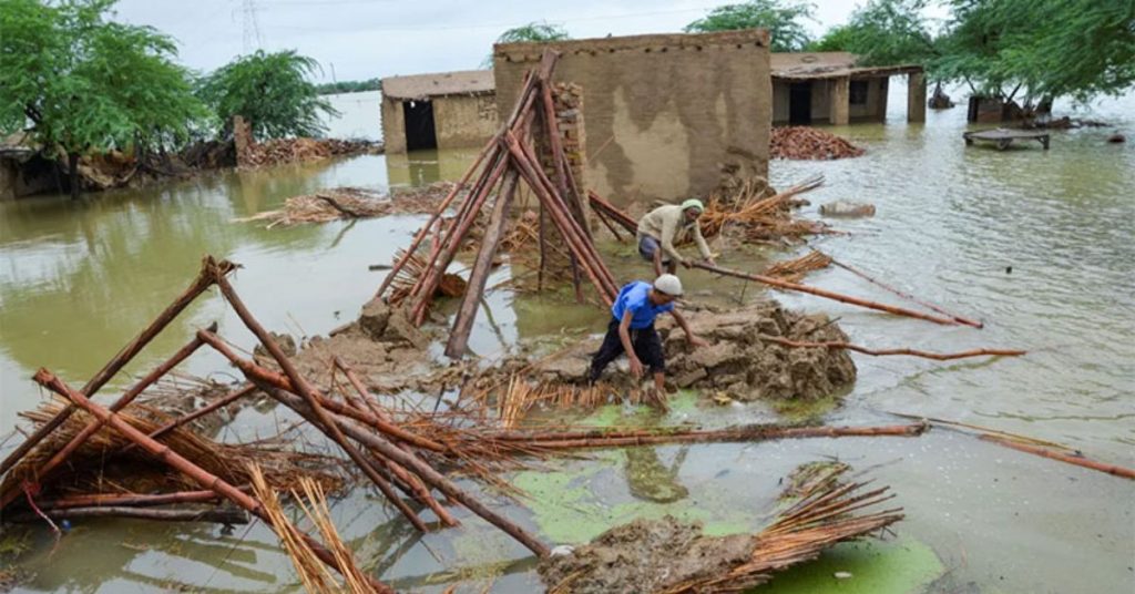 7 dead in Balochistan rain-related incidents; homes and crops hit