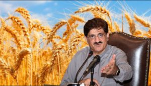 CM Sindh lifts wheat sale limit, orders fast payments to farmers