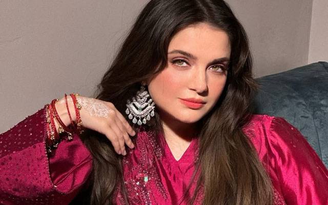 Armeena Khan Maula Jatt joke