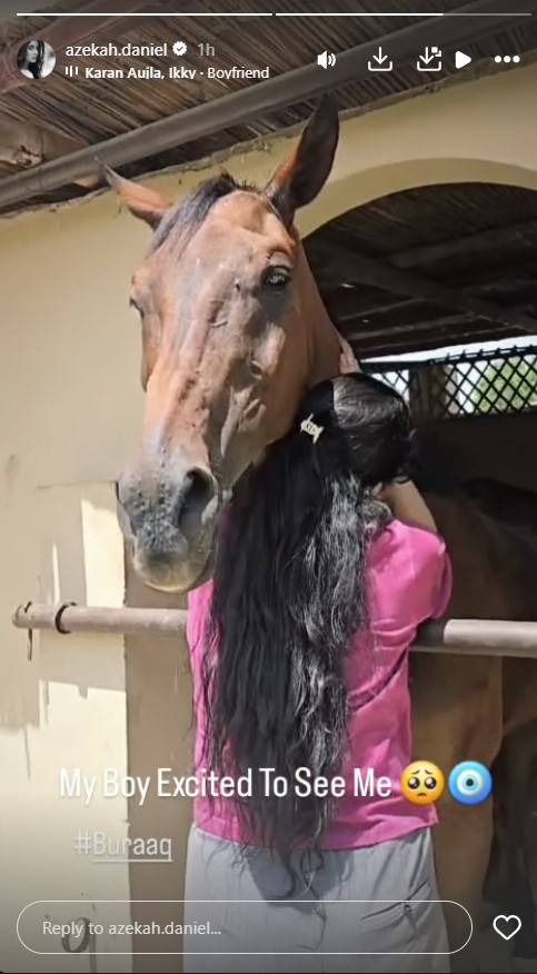 Azekah Daniel horse bond