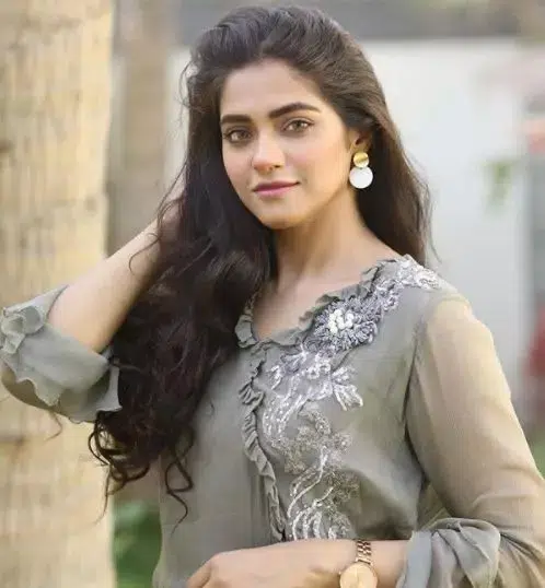 Namra Shahid industry criticism