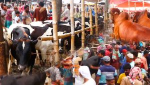 Eid-ul-Azha 2026: Govt declares 7-day holiday
