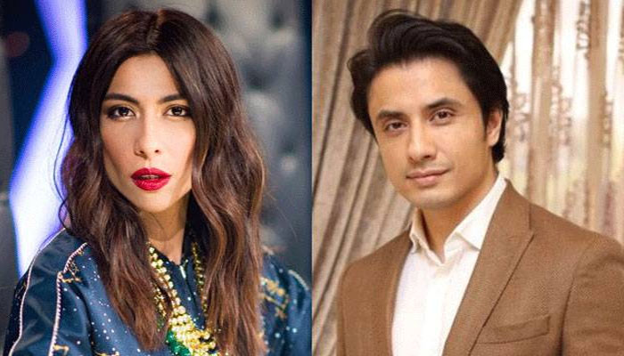 LHC partially suspends damages order in Ali Zafar case