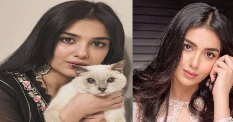 Tuba Anwar Pet Cat Faith