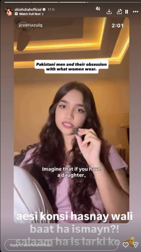 Alizeh Shah Falak Shabir Controversy