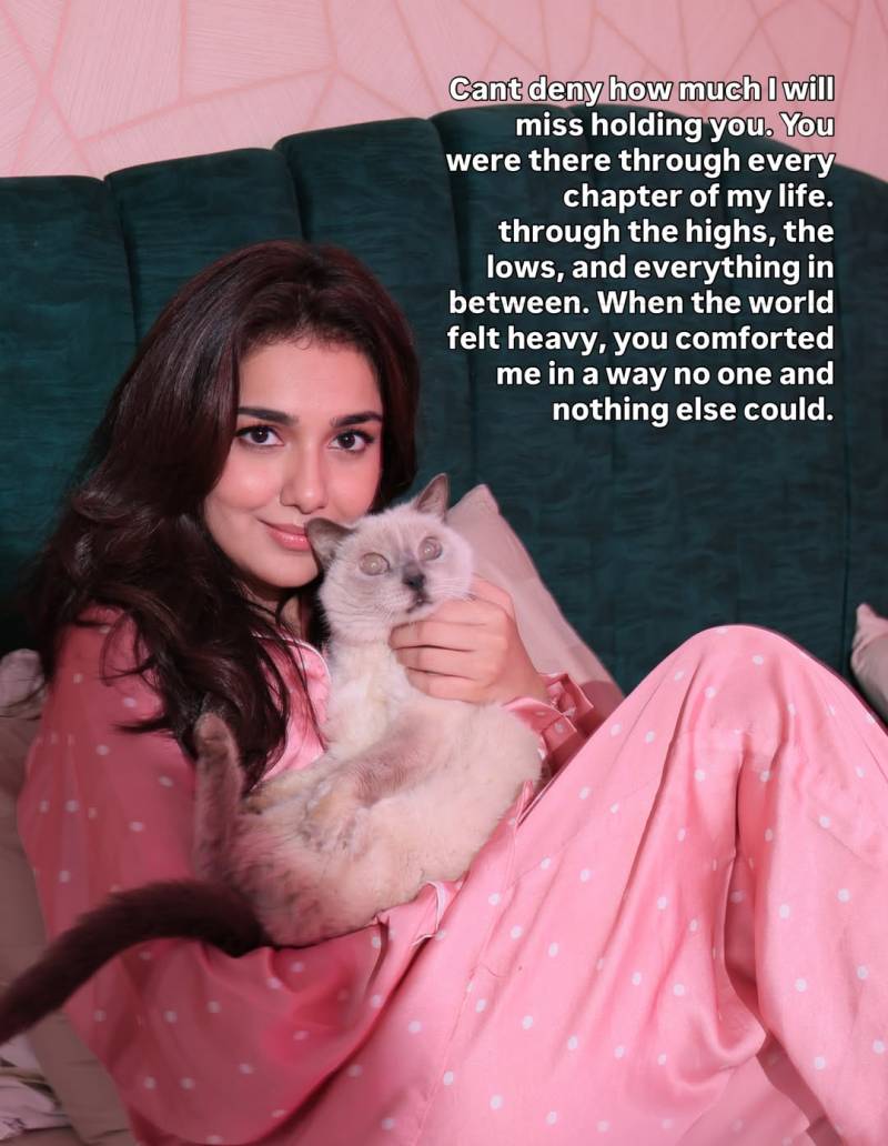 Tuba Anwar Pet Cat Faith