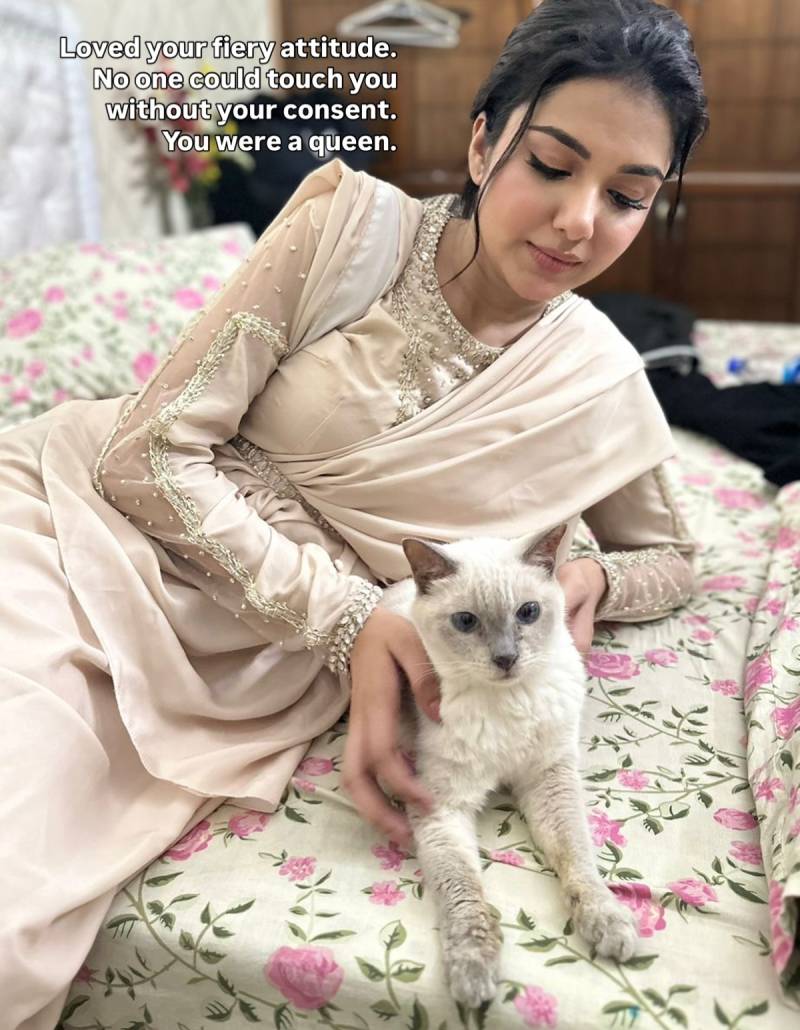 Tuba Anwar Pet Cat Faith