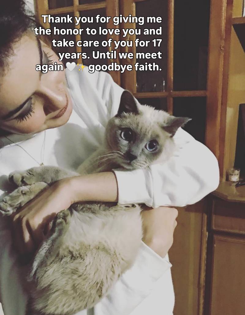 Tuba Anwar Pet Cat Faith