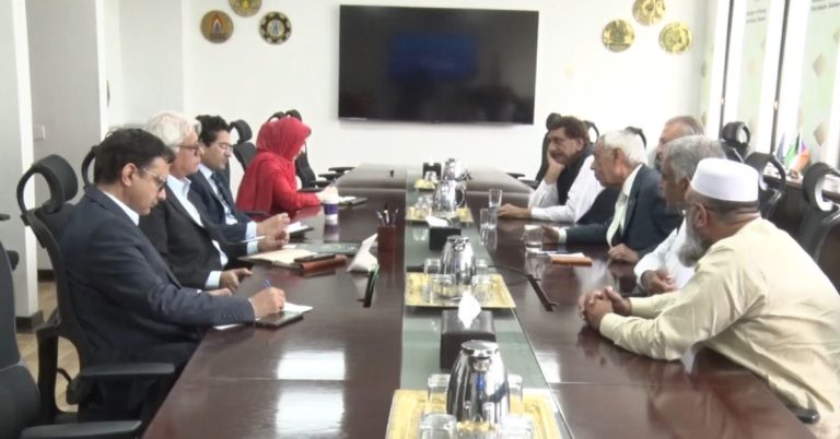 Petroleum dealers back daily fuel pricing systemi meeting with Minister Ali Malik