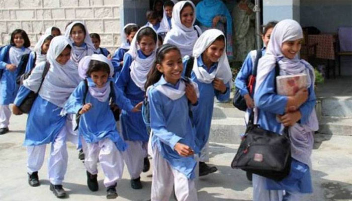 تعلیمی اداروں میں چھٹیوں بارے وزیرتعلیم نے اہم انکشاف کردیا ، اہم خبر